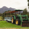 Отель Lillydale Farmstay, фото 10