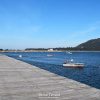 Отель Minho Terrace, фото 10