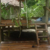 Отель Casa de Selva Uaco, фото 1