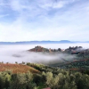 Отель Agriturismo Sotto La Rocca, фото 22
