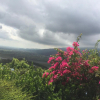Отель Yilan Yalu Good View Homestay, фото 21