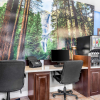 Отель Best Western Plus Yosemite Way Station Motel, фото 3