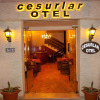 Отель Cesurlar Hotel, фото 1