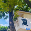 Отель Taishan Qingyun Mountain House Homestay, фото 5