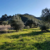 Отель Casa Das Oliveiras, фото 1