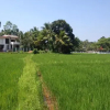 Отель Fairway Galle - Self catered luxury apartments, фото 17