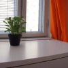 Отель SweetDream Guesthouse - Hostel, фото 6