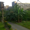 Отель Wisma Cahaya Abadi Guest House, фото 18