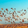 Отель Les Hébergements Nature et Bien-être, фото 8