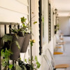 Отель Harwood Hill Motel, фото 5