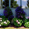 Отель Red Bud Cove Bed & Breakfast Suites, фото 8