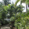 Отель Special Place Where you Combine the Peace of the Jungle With the Ocean View, фото 18