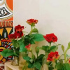 Отель Tre House - Hostel, фото 42