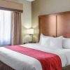 Отель COMFORT INN & SUITES COVINGTON - MANDEVILLE, фото 6