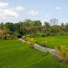 Отель Brata Cottage Bisma Ubud by Summer Stay, фото 16