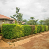Отель Panorama Cottages Tororo, фото 14
