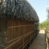 Отель Dan Sinh Homestay, фото 49