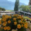 Отель Montreux Lake View Residence, фото 9