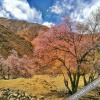 Отель Yunshang Hemei Hotel, фото 12