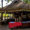 Отель Mara Concord Game Lodge, фото 10