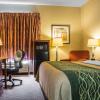Отель Comfort Inn, фото 6