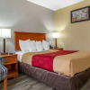 Отель Econo Lodge & Suites, фото 6