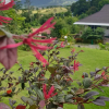 Отель Baan Lomnow Khao Kho, фото 7