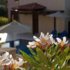 Отель Eligia Villas, фото 2