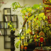 Отель Thanh Binh Hotel, фото 4