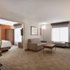 Отель Holiday Inn Express Hotel and Suites of Opelika/Auburn, an IHG Hotel, фото 4
