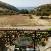 Отель Studio Apartments a Breath Away From Myrtos by Prime, фото 21