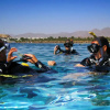 Отель Oonas Dive Club, фото 15