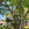 Отель Busselton Jetty Chalets в Бусселтоне