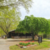 Отель Lake Myers RV & Camping Resort, фото 12