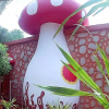Отель Mushroom House Kohlarn, фото 14