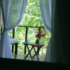 Отель Pousada Quinta do Caju, фото 6