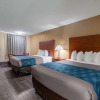 Отель Econo Lodge Inn & Suites Cayce I-26 Airport, фото 28