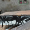 Отель Cemil Koyu Cave House, фото 2