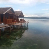 Отель Sunset Homestay Arborek, фото 14
