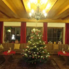 Отель Hotel-Pension Mühlbachhof, фото 14