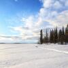 Отель Lapland Hotels Pallas, фото 39