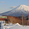 Отель Niseko Freedom Inn, фото 9