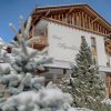 Отель Alpenblick Hotel, фото 1