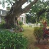 Отель June Plum Bed and Breakfast, фото 7