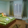 Отель Pensiunea Casa Verde, фото 1