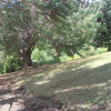 Отель Pousada Vila Lubia - Chalés Monte Verde, фото 3