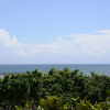 Отель Casa Osiris, фото 21
