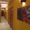 Отель Kactus  Lodge, фото 15