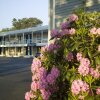 Отель Southfleet Motor Inn, фото 11