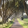 Отель Burn Brig Bed & Breakfast, фото 15